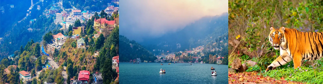 Srinagar Lake